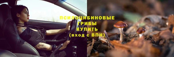 спиды Покров