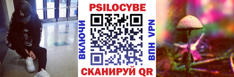 купить сайты Починок блэк спрут зеркало Псилоцибиновые грибы мицелий