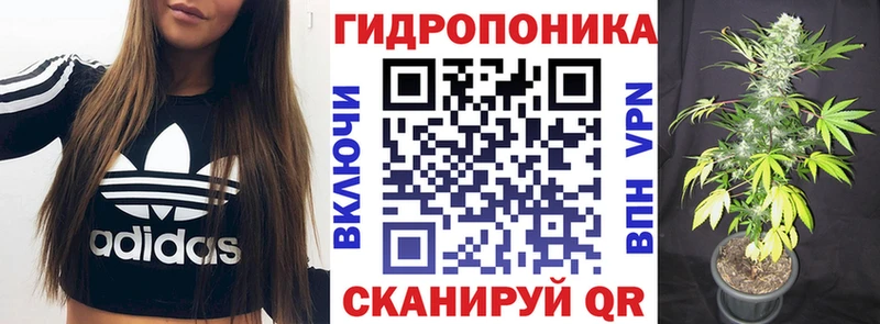 Конопля White Widow  где найти наркотики  Починок 